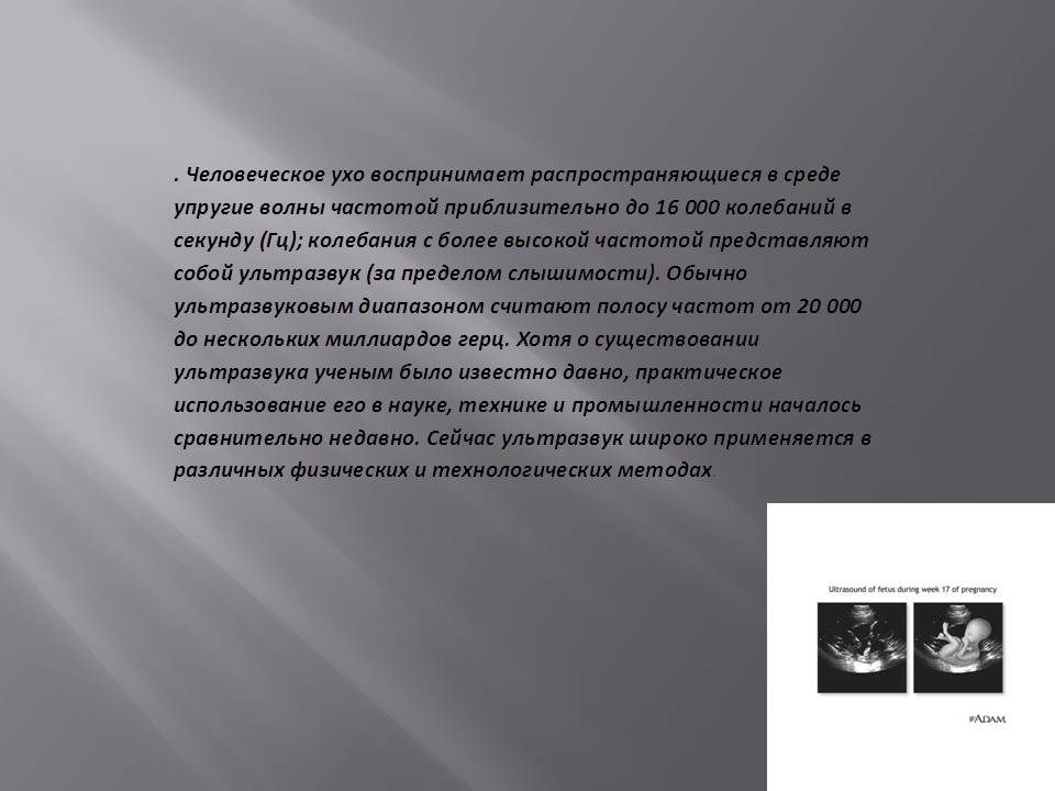 Инфразвук и ультразвук
