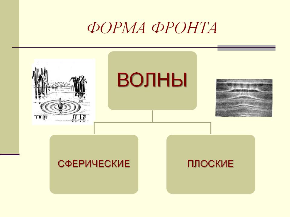 Форма фронта