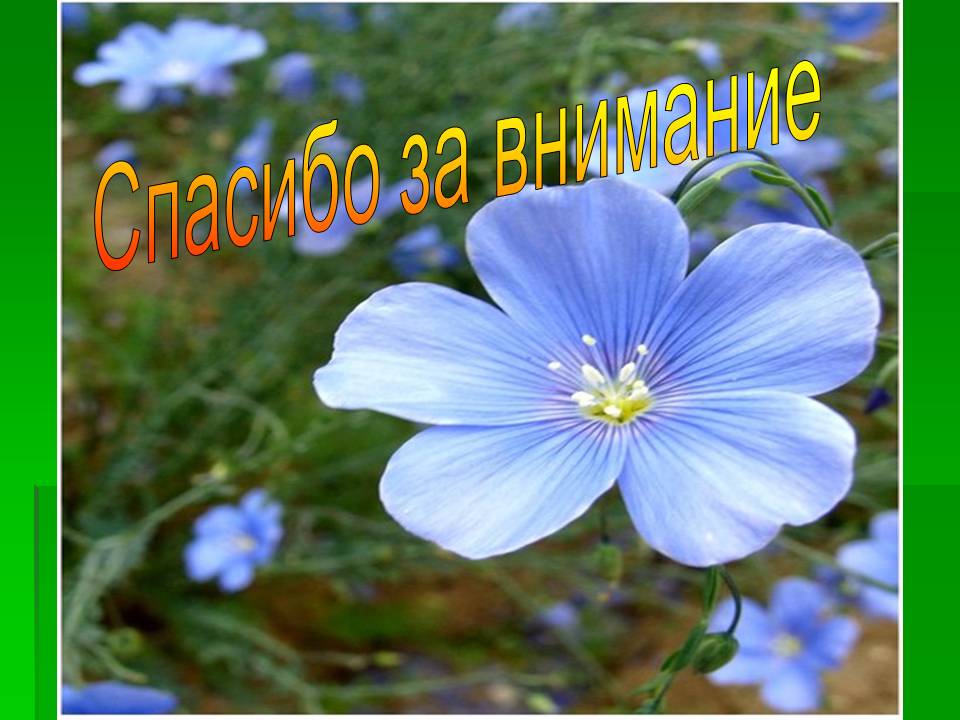 Спасибо за внимание