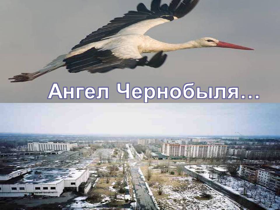 Ангел Чернобыля…