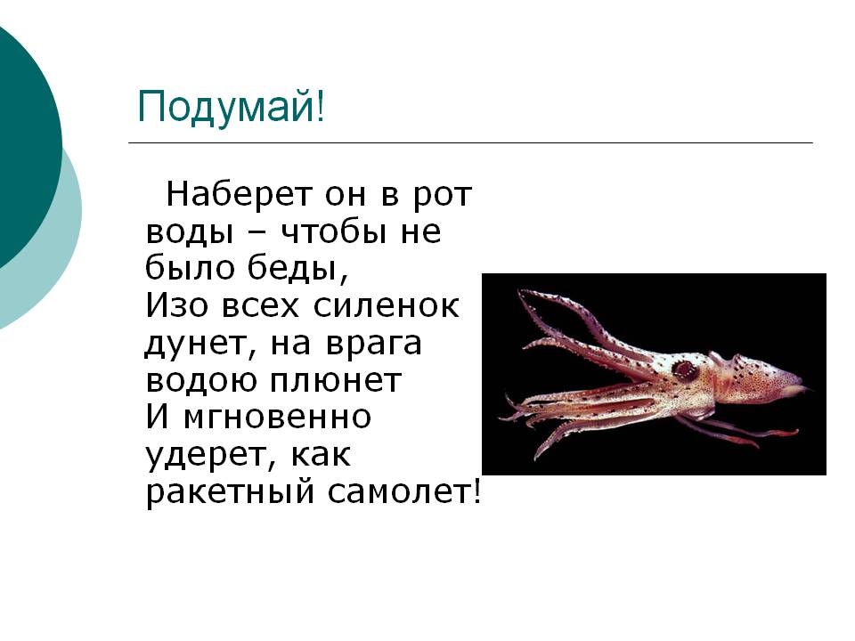 Подумай