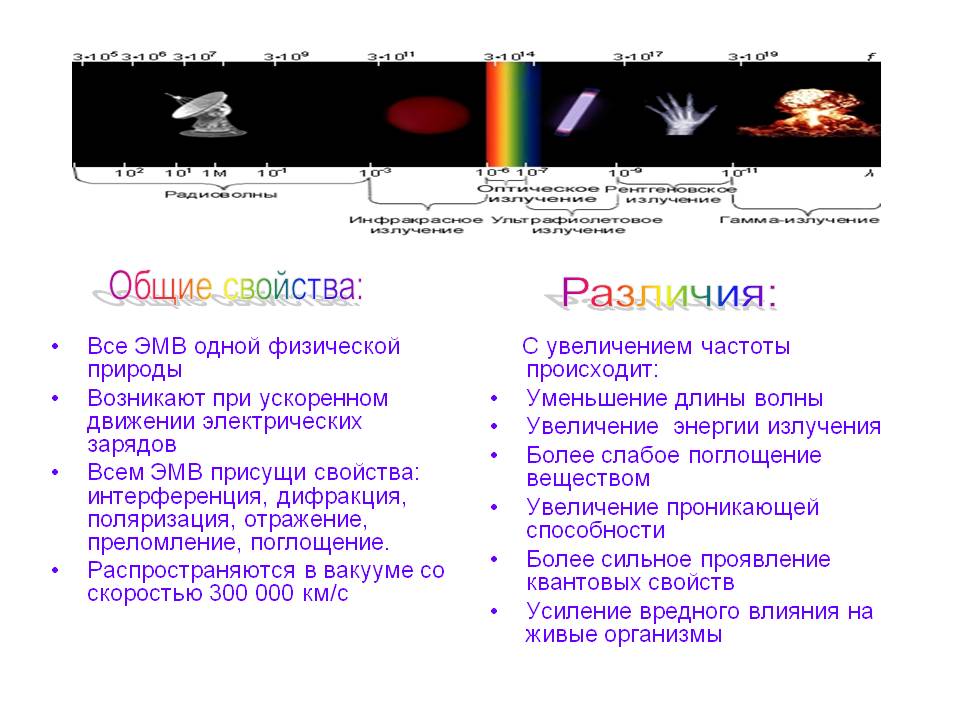 Общие свойства: