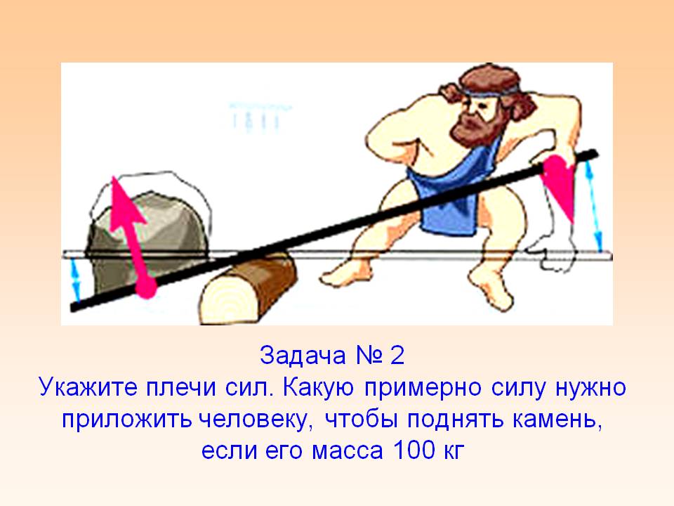 Укажите плечи сил