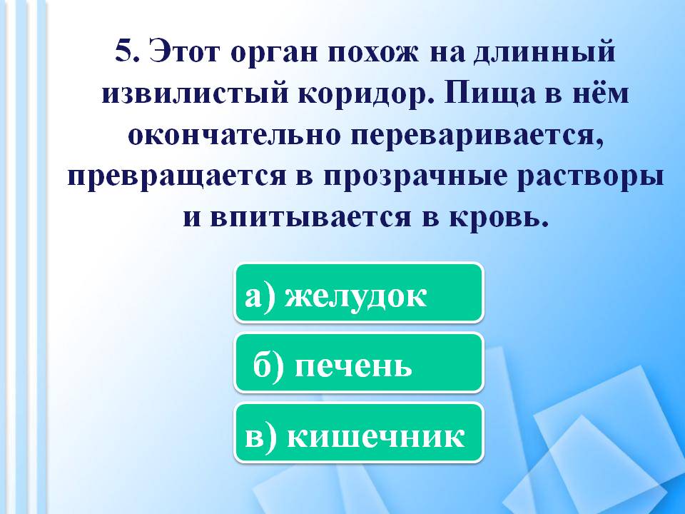 Этот орган похож на длинный извилистый коридор