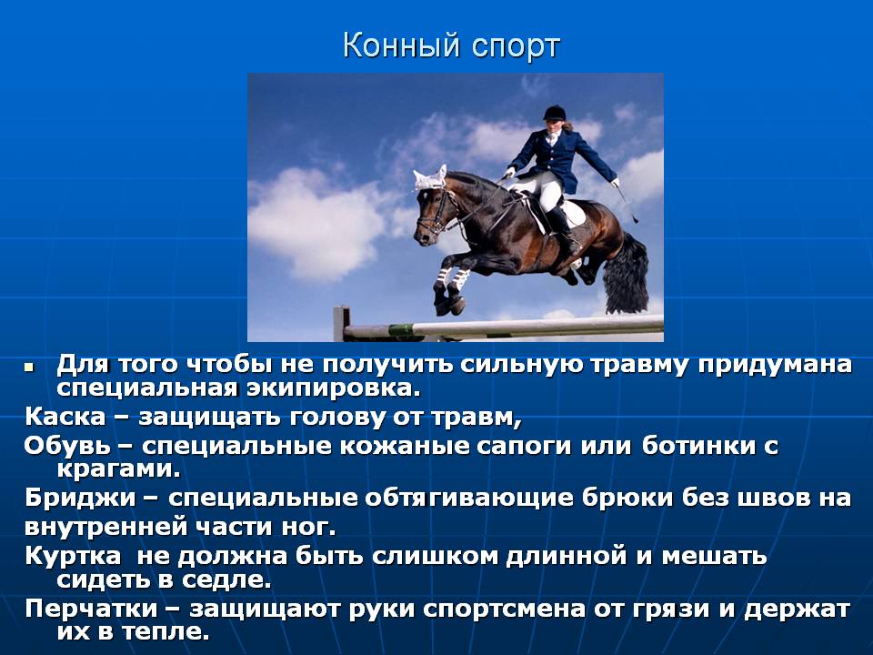 Конный спорт