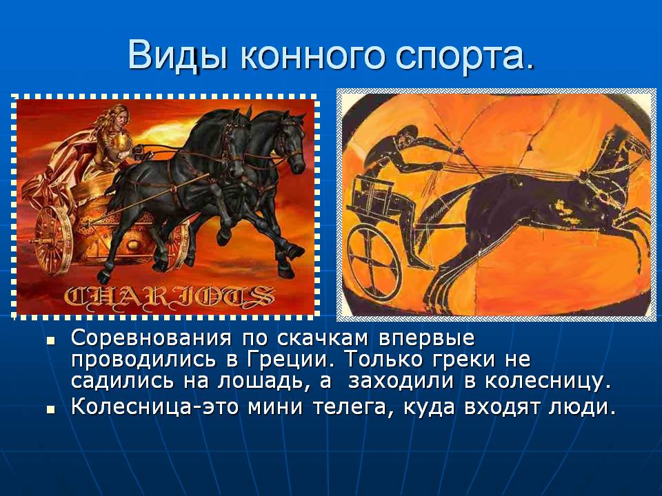 Виды конного спорта