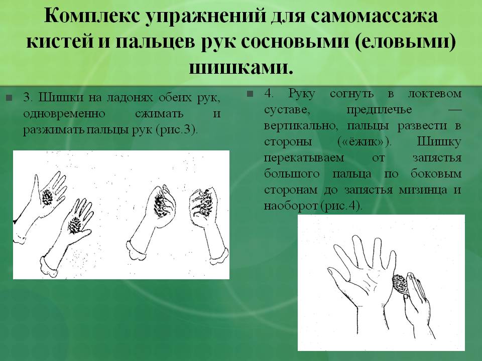 Предплечье