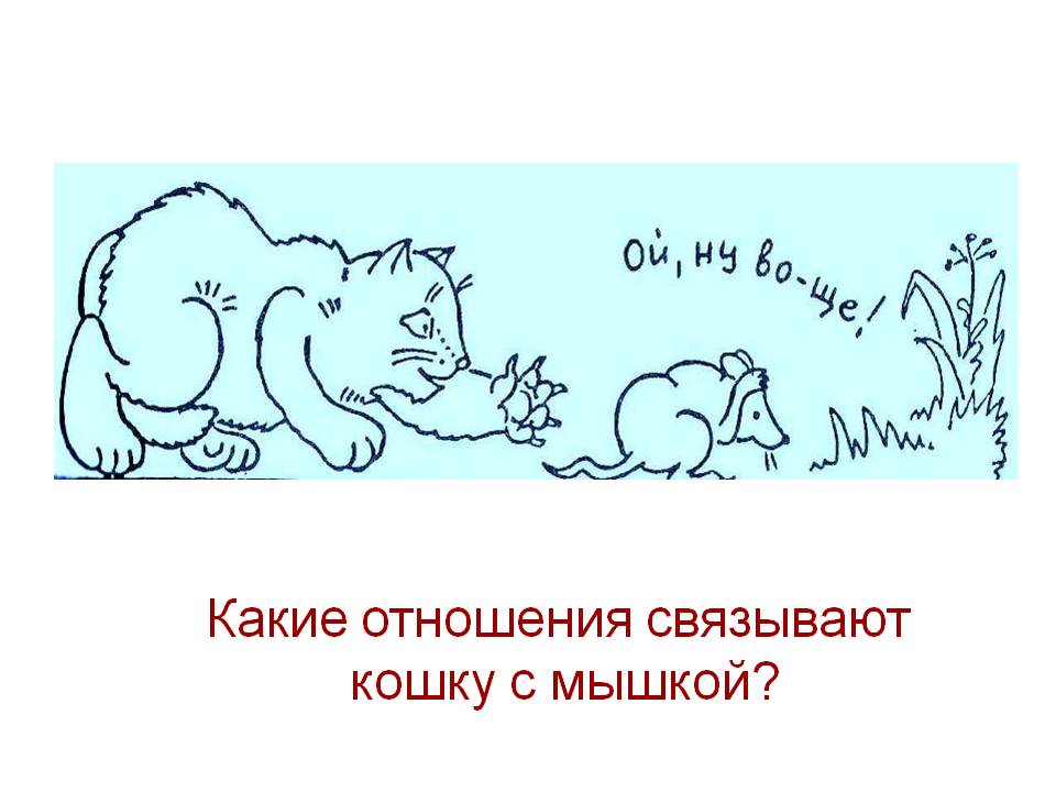 Какие отношения связывают кошку с мышкой