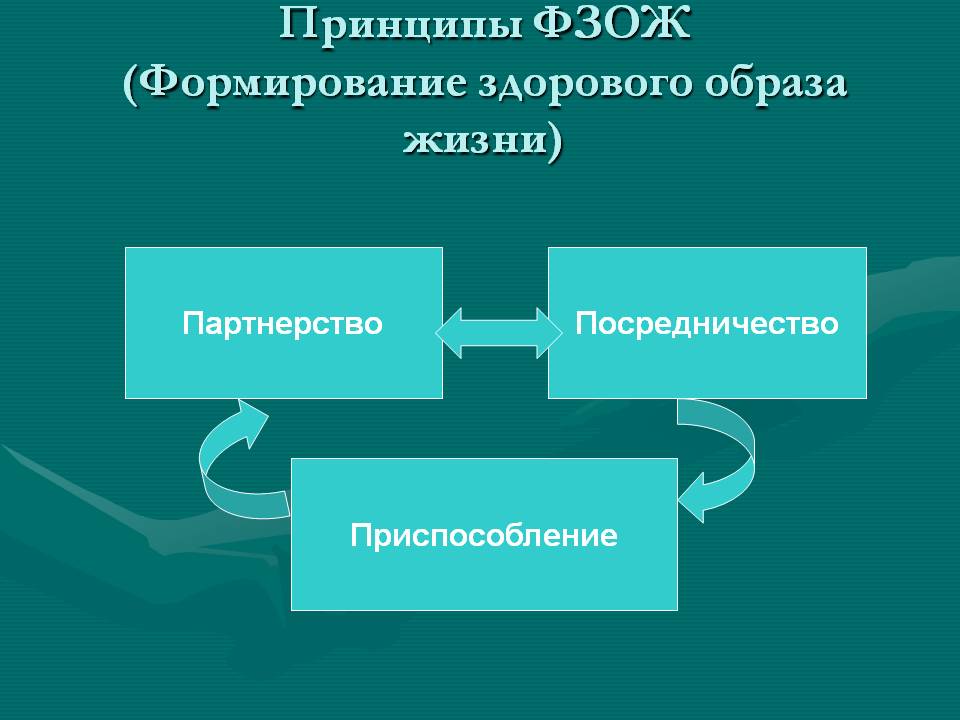 Принципы ФЗОЖ (Формирование здорового образа жизни)
