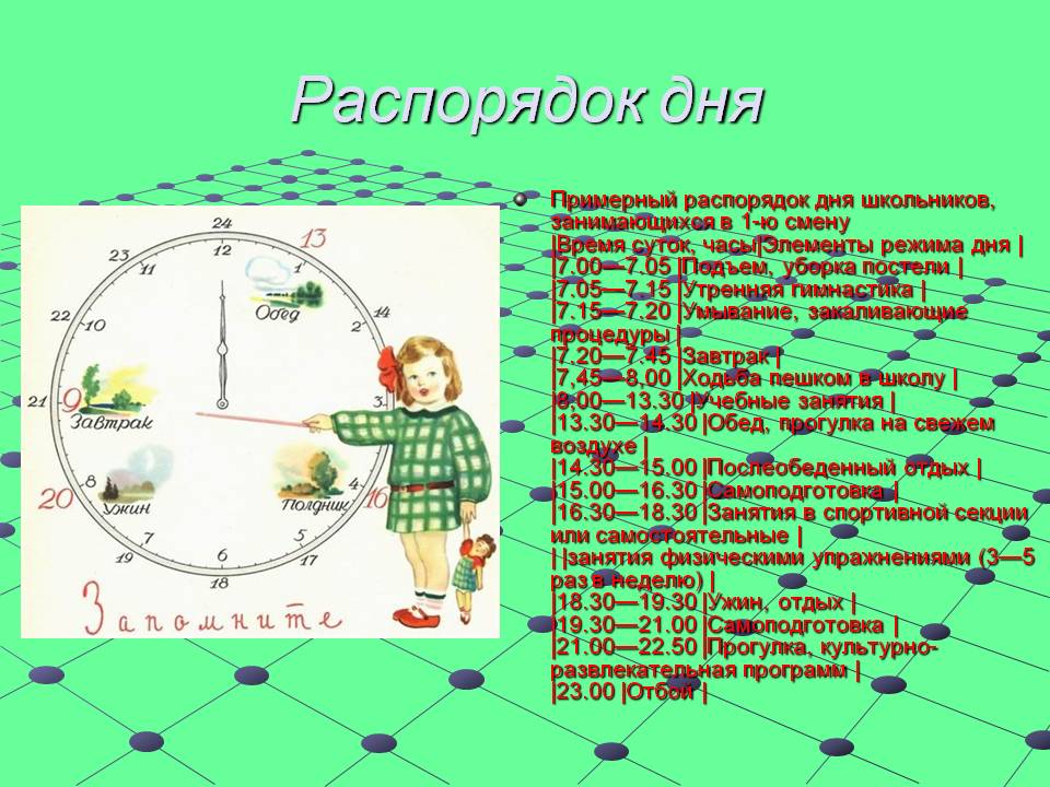 Распорядок дня