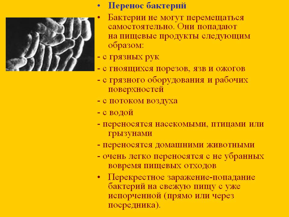 Перенос бактерий