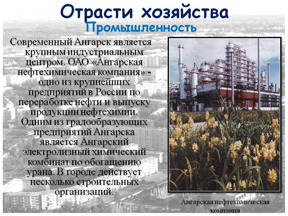 Отрасти хозяйства