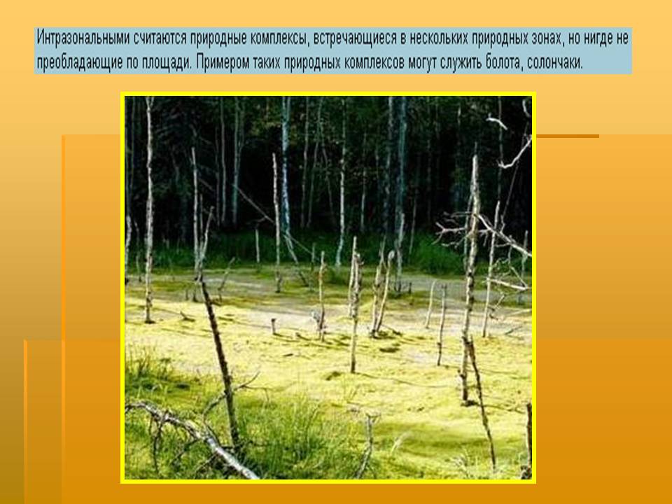 Биосфера география