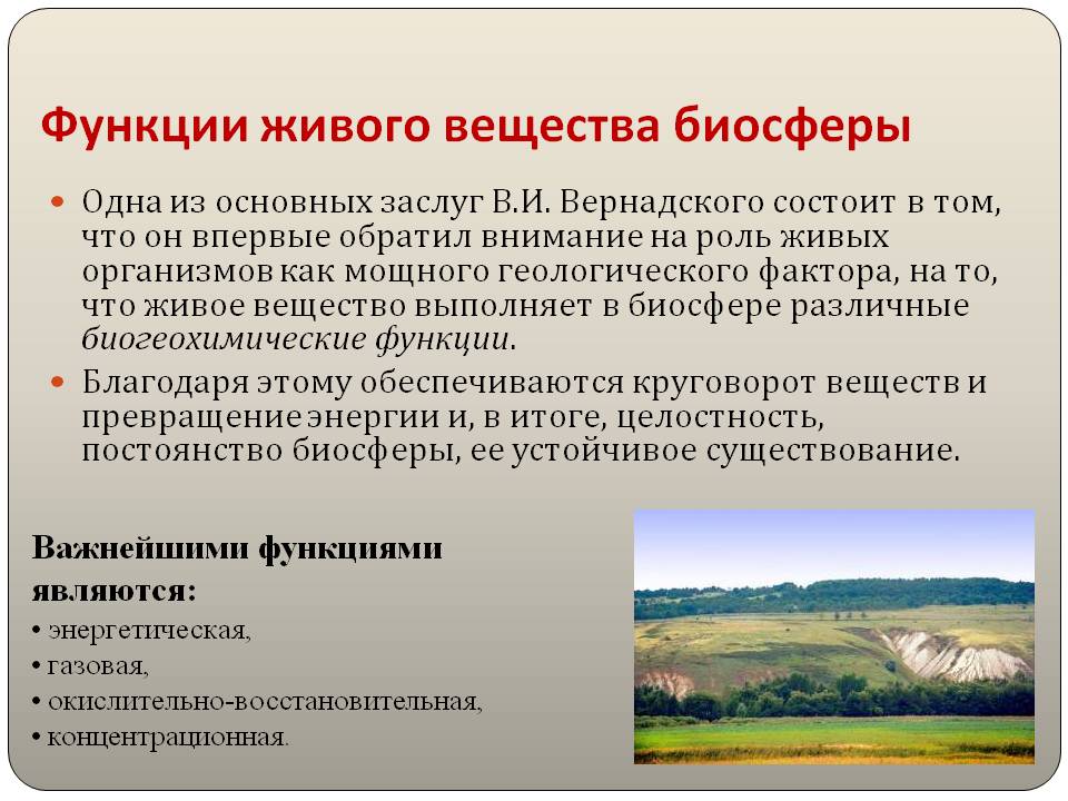 Функции живого вещества биосферы