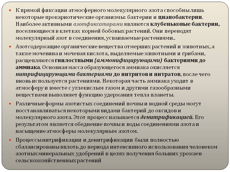 Некоторые прокариотические организмы