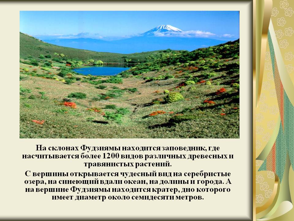 На склонах Фудзиямы находится заповедник, где насчитывается более 1200