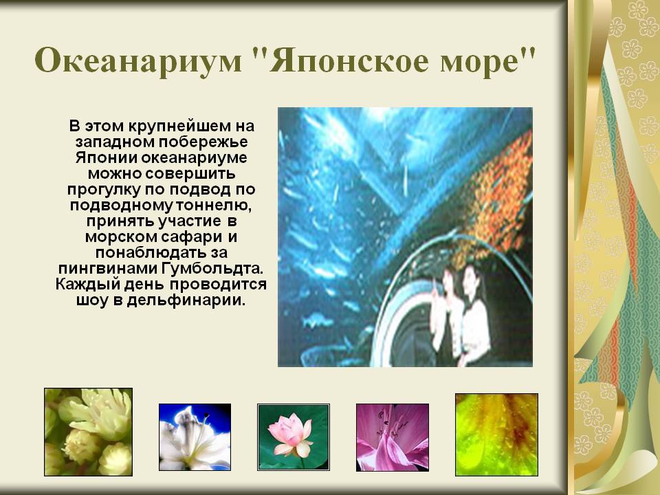 Океанариум "Японское море"