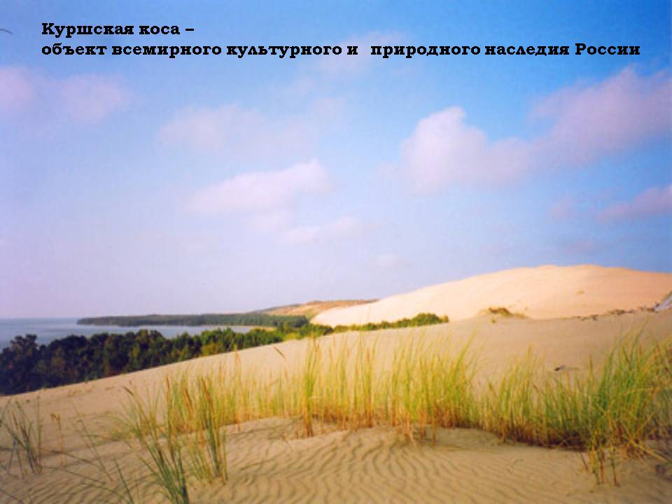 Куршская коса – объект всемирного культурного и природного наследия