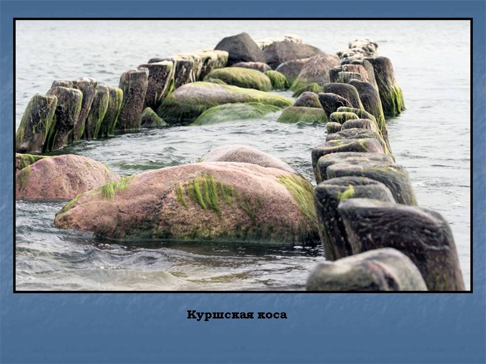 Куршская коса