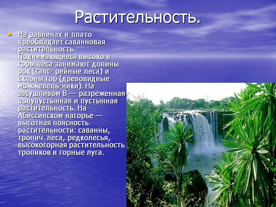 Растительность
