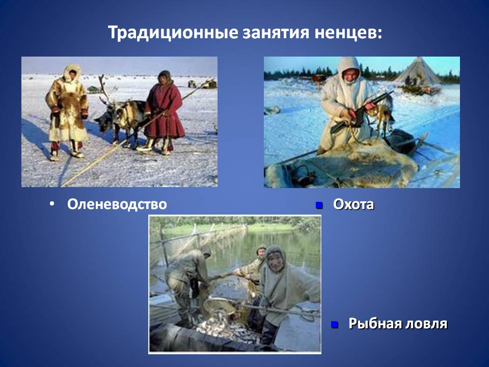 Традиционные занятия ненцев