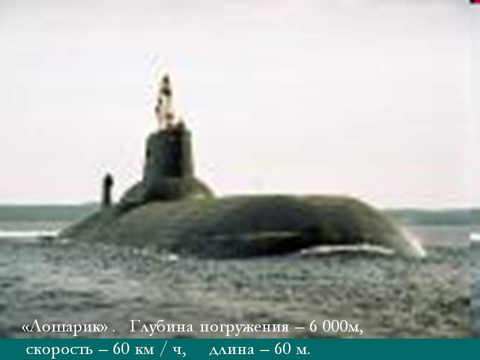 «Лошарик» 