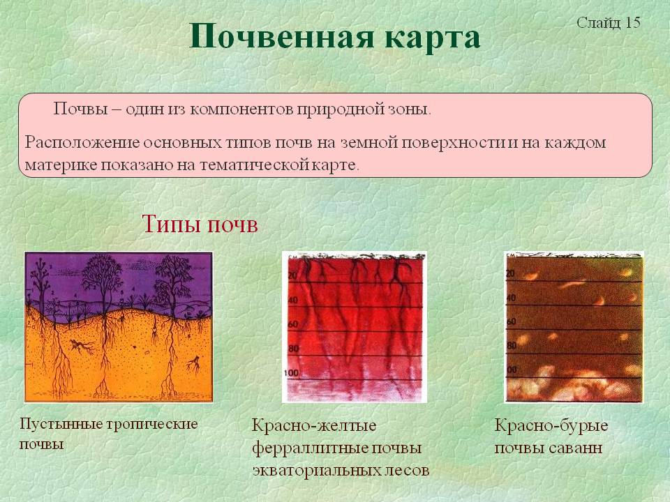 Почвенная карта