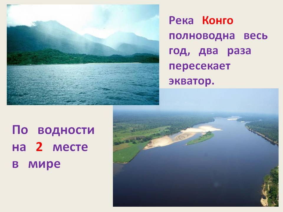 Река Конго полноводна весь год, два раза пересекает экватор