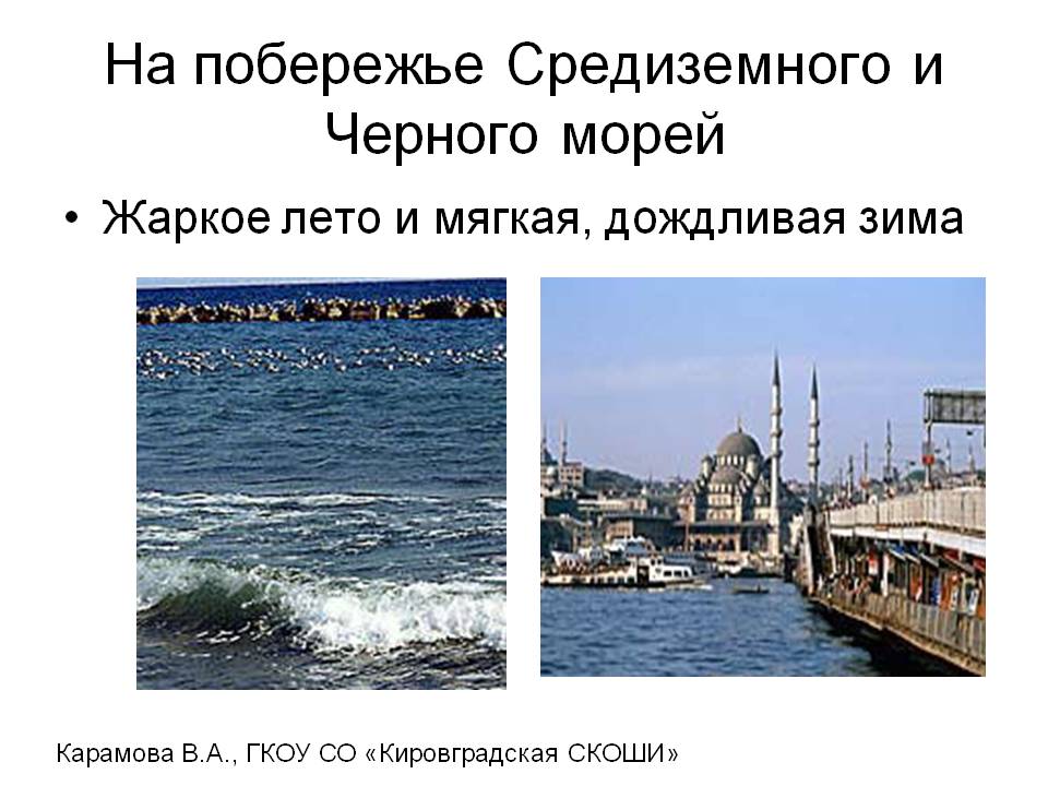 На побережье Средиземного и Черного морей