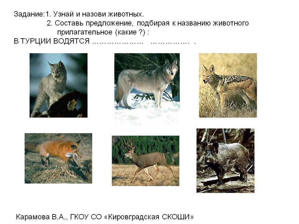 Задание:1