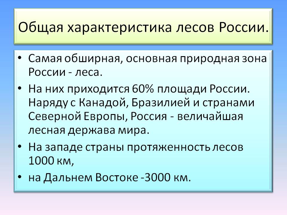 Общая характеристика лесов России