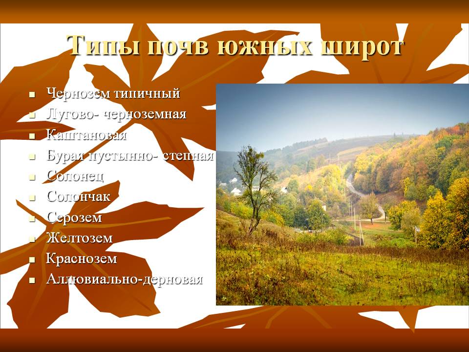 Типы почв южных широт