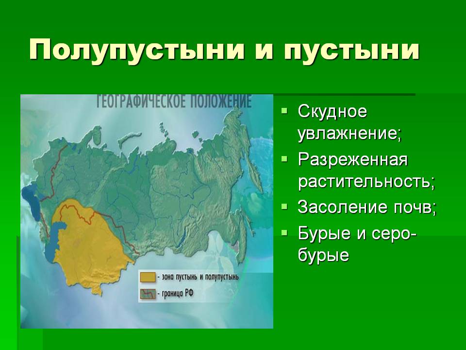 Полупустыни и пустыни