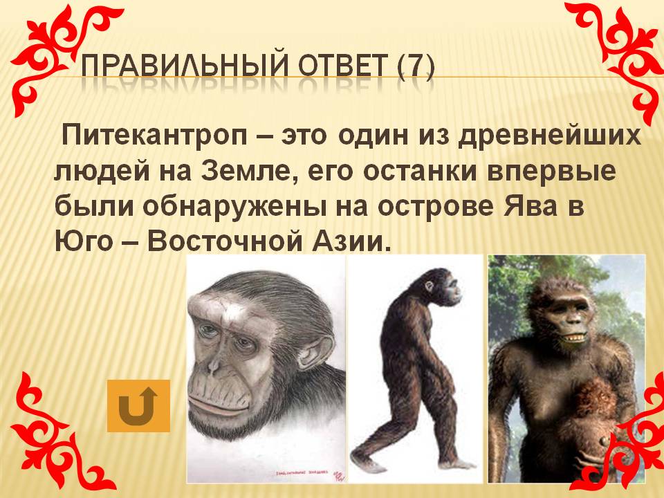 Питекантроп – это один из древнейших людей на Земле