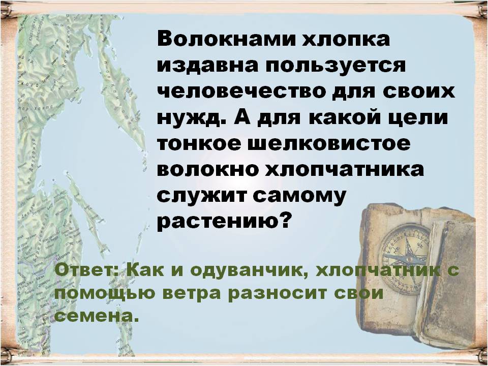 Одуванчик