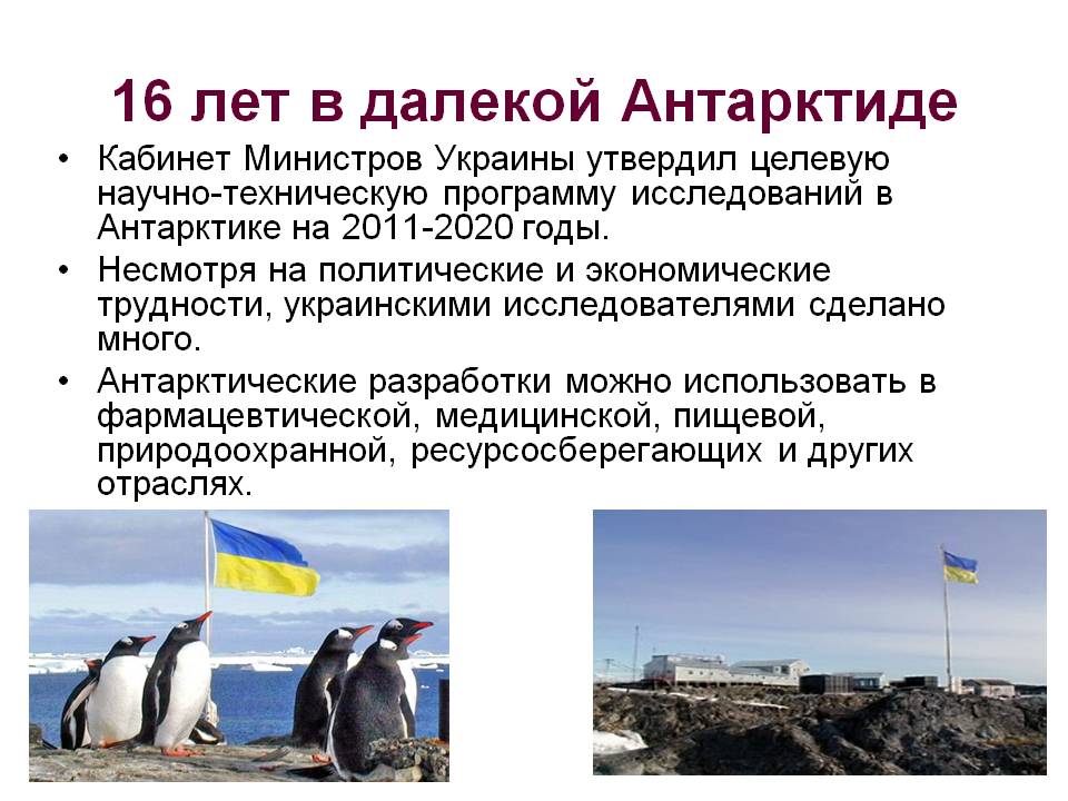 16 лет в далекой Антарктиде