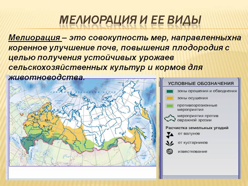 Мелиорация и ее виды