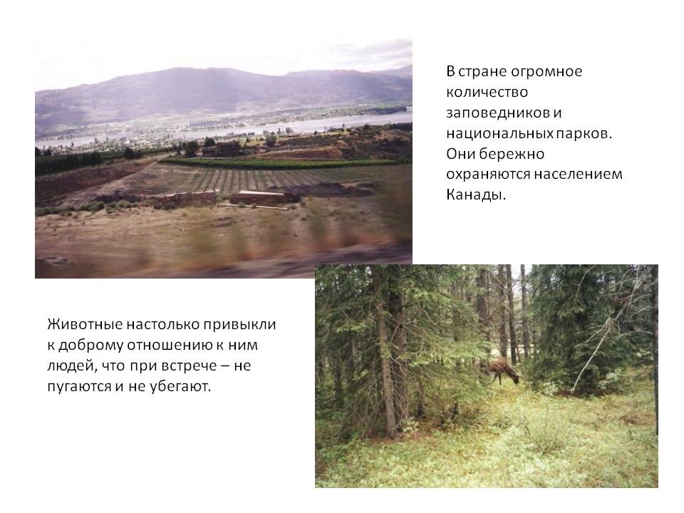 В стране огромное количество заповедников и национальных парков