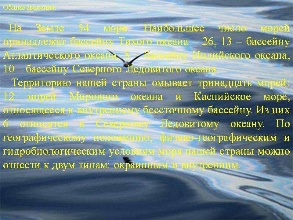 Общие сведения