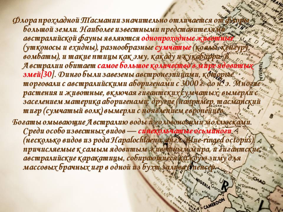 Флора прохладной Тасмании