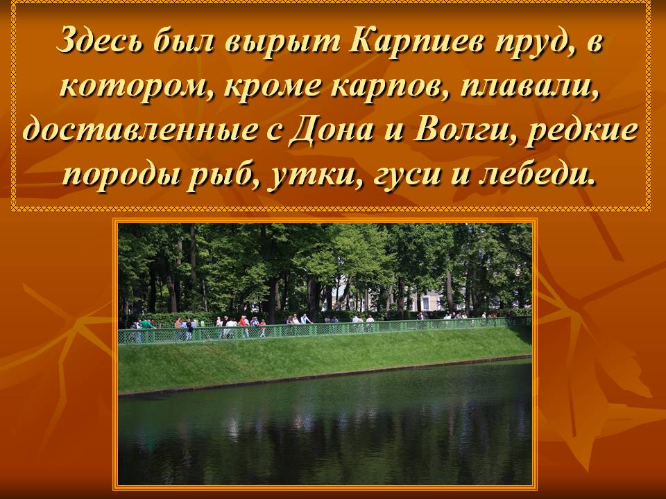 Карпиев пруд