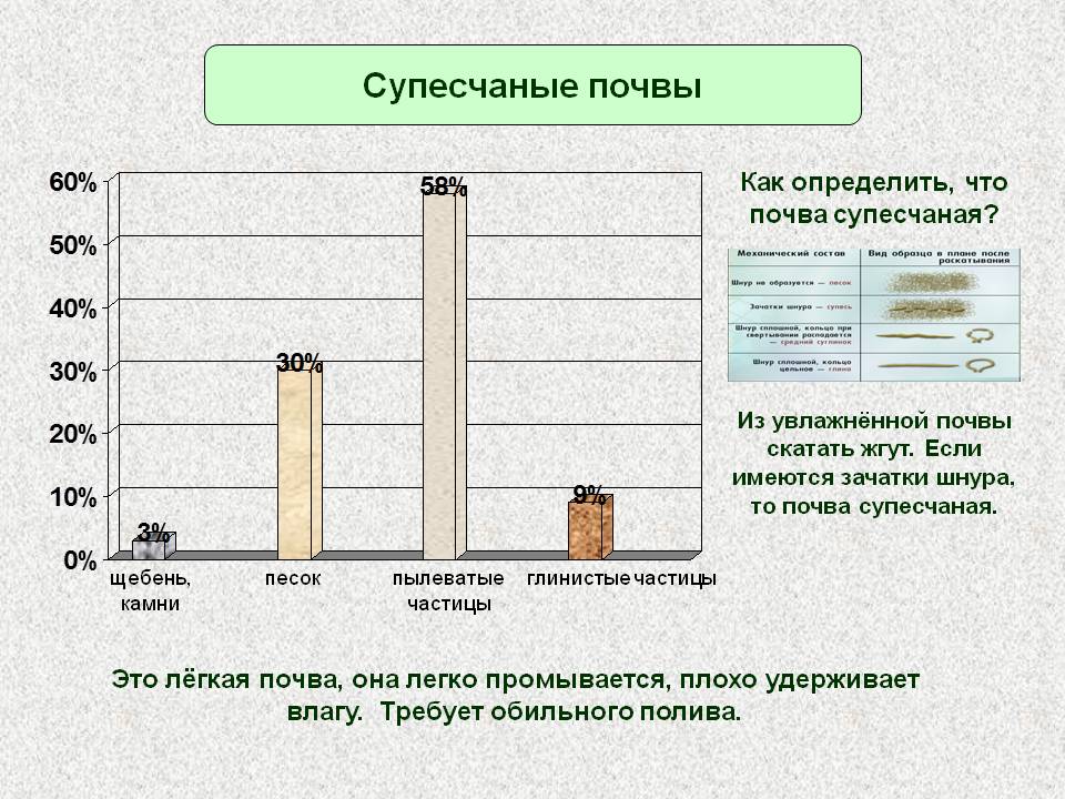 Супесчаные почвы
