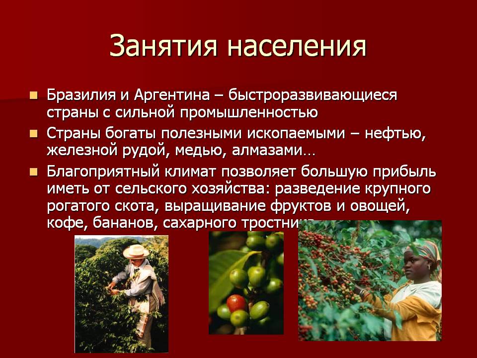 Занятия населения