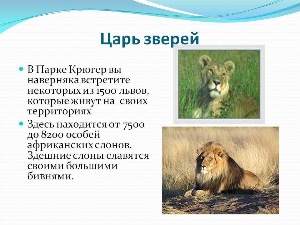 Царь зверей