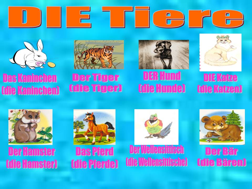 DIE Tiere