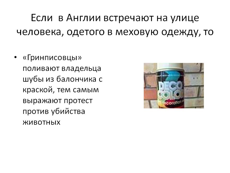 Протест против убийства животных