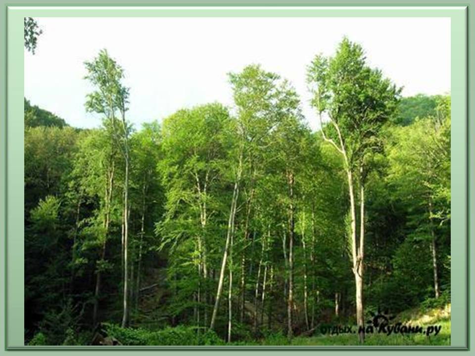 Охрана природы Краснодарского края