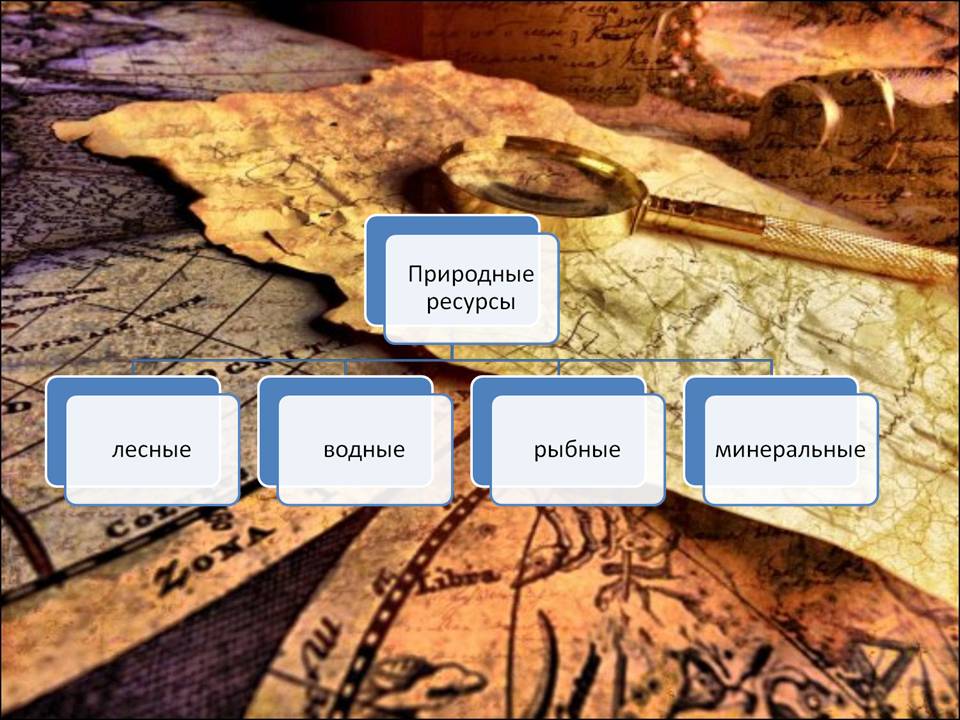 Отрасли хозяйства Европейского Севера