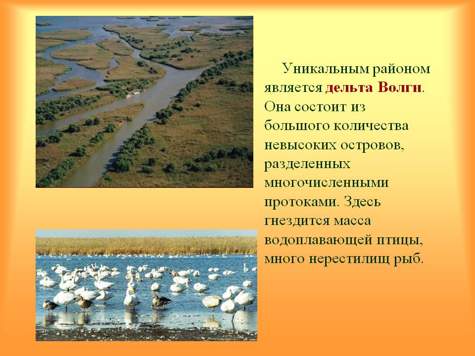 Дельта Волги