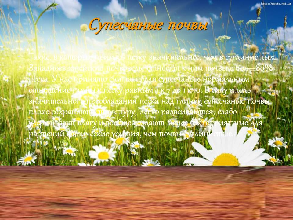 Супесчаные почвы